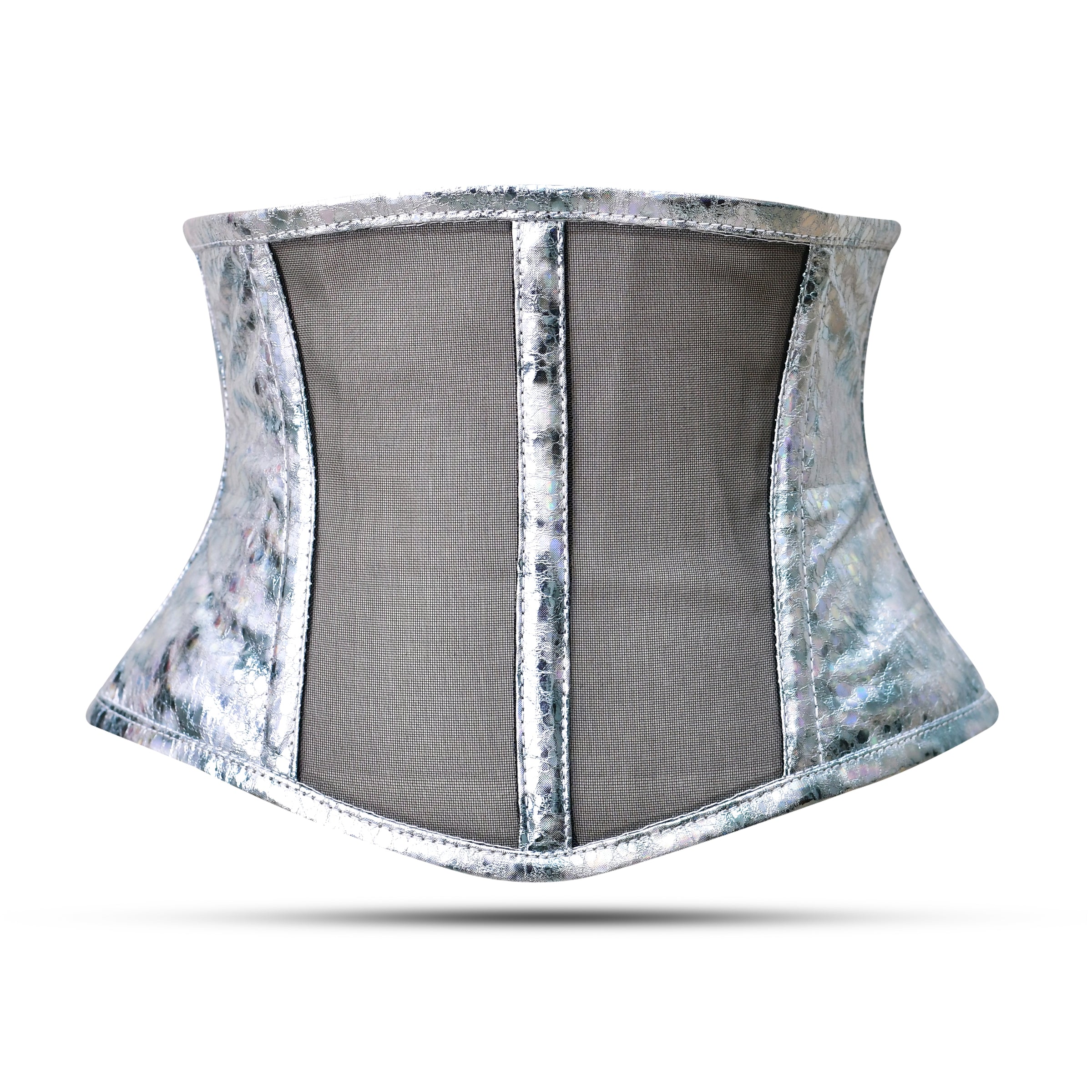 Silver Waist Cincher